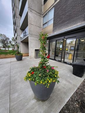 Etobicoke apartment for rent - A grey planter with red and yellow flowers sits in front of a building.