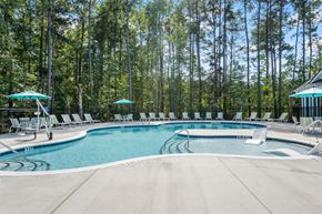 Castle Hayne apartment for rent - A large outdoor swimming pool surrounded by trees.