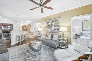 Irmo apartment for rent - A modern living room with a grey sofa and a grey rug.