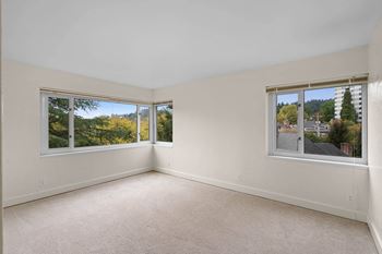 Large windows