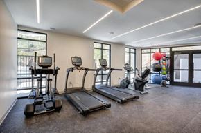 Thousand Oaks apartment for rent - the gym is equipped with cardio equipment and yoga balls