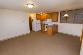 Dickinson apartment for rent - an empty kitchen with a stove and a refrigerator