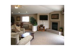 Fitchburg apartment for rent - A living room with a couch, a coffee table, a plant, and a fireplace.