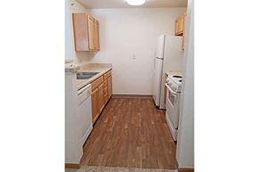 Ottumwa apartment for rent - a kitchen with a stove and a refrigerator