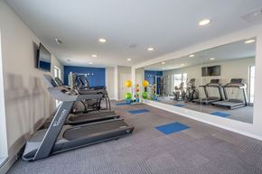 Stewartville apartment for rent - A gym with treadmills and exercise equipment.