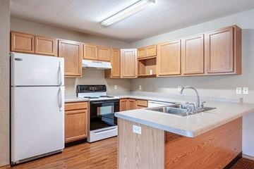 Stevens Point apartment for rent - a kitchen with wooden cabinets and a sink and a refrigerator