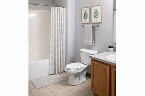 Rock Falls apartment for rent - A white toilet sits next to a white bathtub in a bathroom.