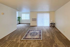 Menasha apartment for rent - A room with a rug on the floor and a plant in the corner.