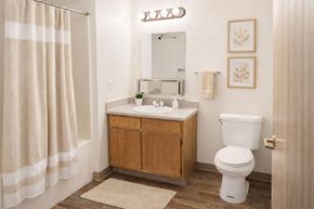 Knoxville apartment for rent - A bathroom with a white toilet, a sink with a mirror above it, and a shower curtain.