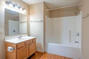 Stevens Point apartment for rent - a bathroom with a sink and a shower and a mirror