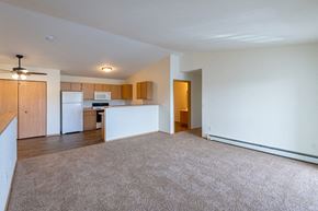 Columbus apartment for rent - an empty living room with a kitchen and a rug