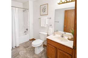 Fond Du Lac apartment for rent - A bathroom with a toilet, sink, and shower.