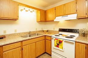 Gaylord apartment for rent - a kitchen with a stove top oven and a sink