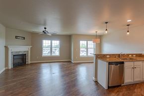 Oconomowoc apartment for rent - A spacious living room with a fireplace and a kitchen area with a sink and dishwasher.