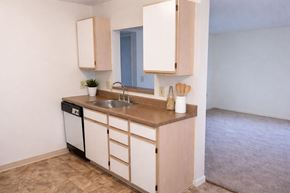Riverside apartment for rent - A kitchen with a sink, a dishwasher, and wooden cabinets.