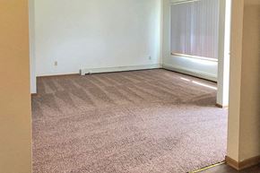 Zumbrota townhouse for rent - an empty room with a carpeted floor and a window