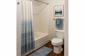 Grundy Center apartment for rent - A bathroom with a toilet, a shower with a curtain, and a picture on the wall.