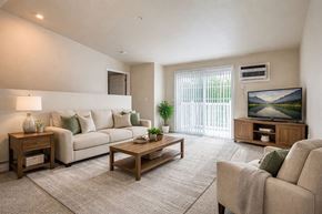 Wisconsin Rapids apartment for rent - A living room with a couch, a coffee table, a television, and a potted plant.
