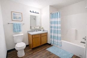 Osceola apartment for rent - A bathroom with a toilet, sink, and shower.