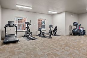 Decatur apartment for rent - A spacious gym with treadmills, elliptical machines, and exercise balls.