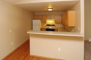 Rhinelander apartment for rent - an empty kitchen with a counter and a refrigerator