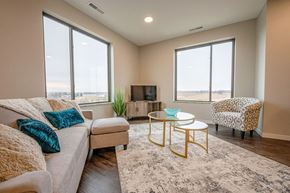 Stewartville apartment for rent - A living room with a couch, a chair, and a coffee table.