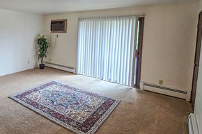 Appleton apartment for rent - A room with a rug on the floor and a plant in a pot.
