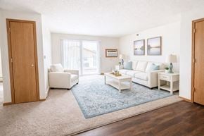 Osceola apartment for rent - A living room with a white couch, a blue rug, and a wooden door.
