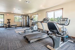 Holmen apartment for rent - the gym is equipped with a variety of exercise equipment