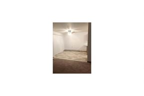 Kasson apartment for rent - an empty living room with a carpet and a ceiling light