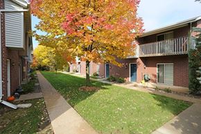 Appleton apartment for rent - A tree with pink and yellow leaves is in front of a brick building.