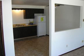 Sturgeon Bay apartment for rent - an empty kitchen with a refrigerator and a sink