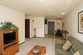 Manitowoc apartment for rent - a living room with a couch and a television