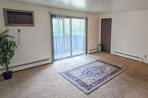 Appleton apartment for rent - A room with a rug on the floor and a plant on the left side.