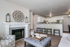 Union Grove apartment for rent - A living room with a fireplace and a coffee table.