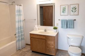 Hartford City apartment for rent - A bathroom with a white toilet, a sink with a wooden cabinet, a shower with a blue and white curtain, and a mirror above the sink.