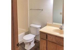 Zumbrota townhouse for rent - a bathroom with a toilet and a sink