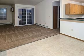 Greenville apartment for rent - A room with a brown carpet and a white wall.