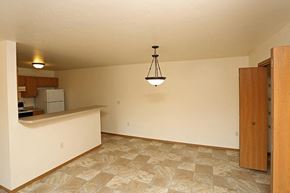 Oshkosh apartment for rent - a empty living room with a kitchen and a light