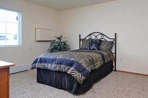 Little Chute apartment for rent - A bedroom with a bed, carpet, and a plant.