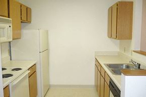 Carroll apartment for rent - a kitchen with a stove and a sink and a refrigerator
