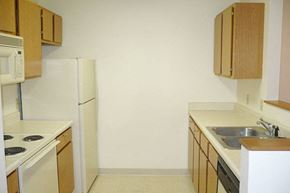 Carroll apartment for rent - a kitchen with a stove and a sink and a refrigerator