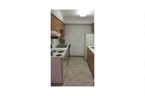 Waseca apartment for rent - a kitchen with a stove and a refrigerator