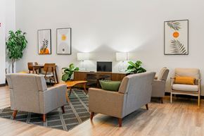 St Cloud apartment for rent - A living room with a grey sofa, a green couch, a wooden coffee table, and a potted plant.