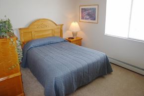 Neenah apartment for rent - a bedroom with a bed with a blue comforter