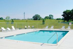St Cloud apartment for rent - A pool surrounded by lawn chairs and trees.