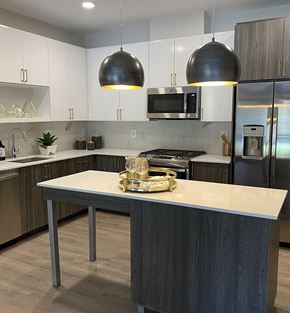 Ashburn apartment for rent - Kitchen