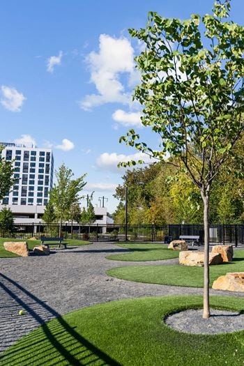 A park with trees and rocks and a building in the background