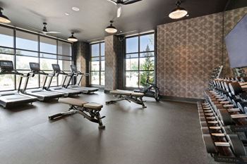 A fitness room with rows of chairs and windows