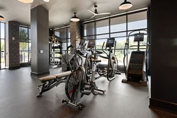 A gym with a row of stationary bikes